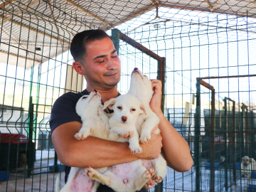 Çiftlikköy’den Hayvanseverlere Çağrı: Bakım Maliyetleri Yükseldi!