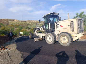 Çınarcık’ta Sokak Hayvanları Bakımevine Asfaltlı Ulaşım!