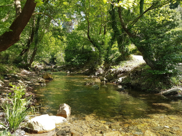 Armutlu’da Dere Temizliği Başladı!