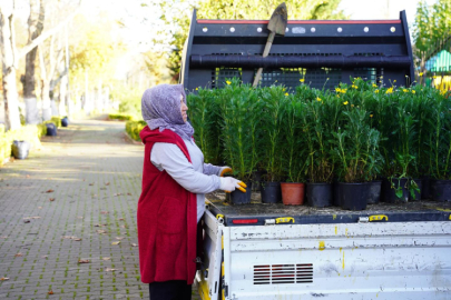 Termal Yolu Çiçeklerle Bezendi: Kadıköy Belediyesi’nden Estetik Dokunuş!