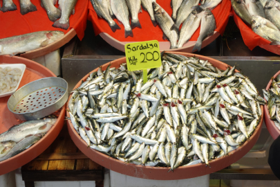 Yalova’da Deniz Bereketi Tezgâhlara Yansıdı: Balık Pazarı Erken Saatlerden İtibaren Dolup Taşıyor!